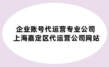 企业账号代运营专业公司 上海嘉定区代运营公司网站